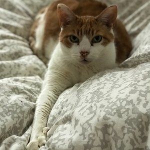 Meet your Posher, Janice